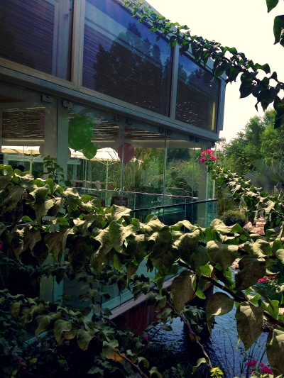 photo 1 (4)