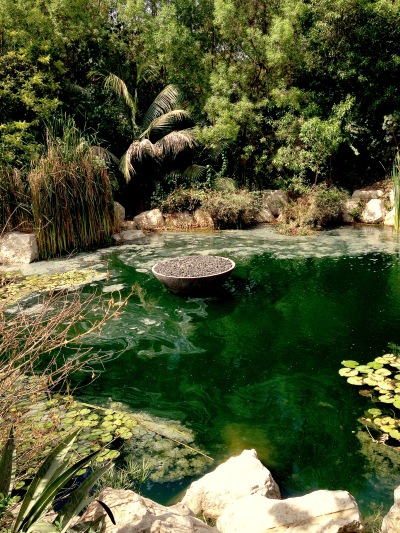 photo 4 (3)