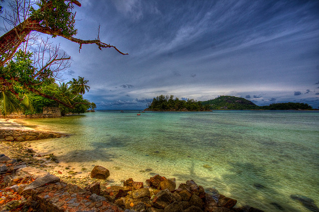 (Icymonkey/flickr)