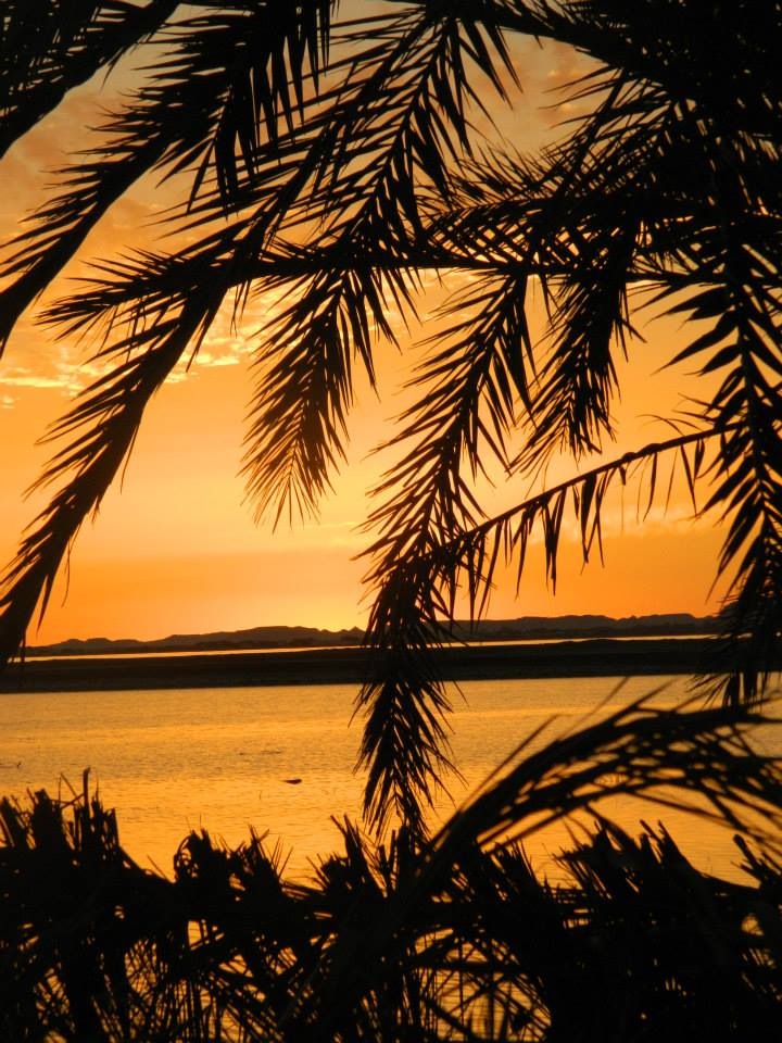 egypt