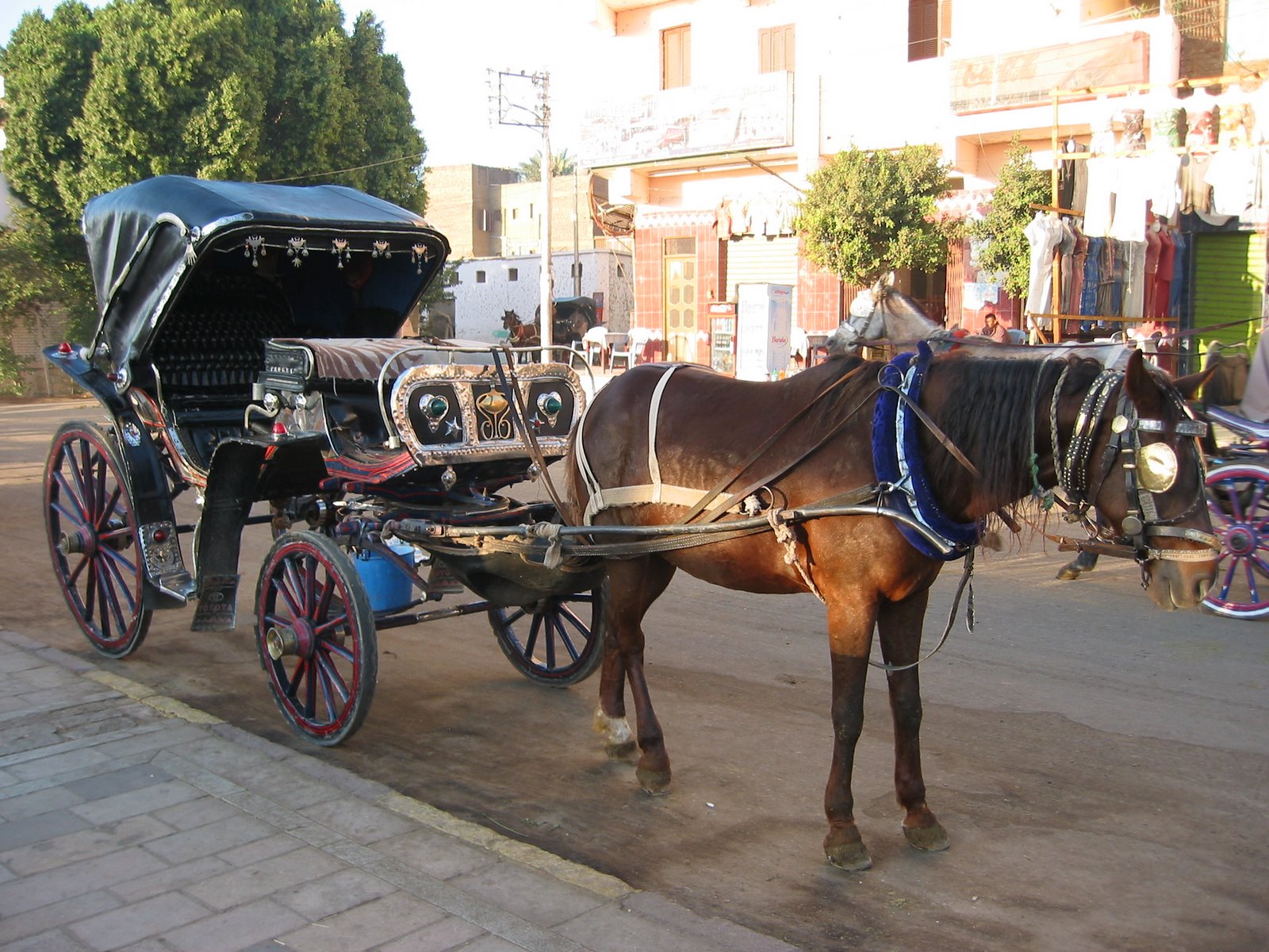 Edfu, Egypt - carriage ride