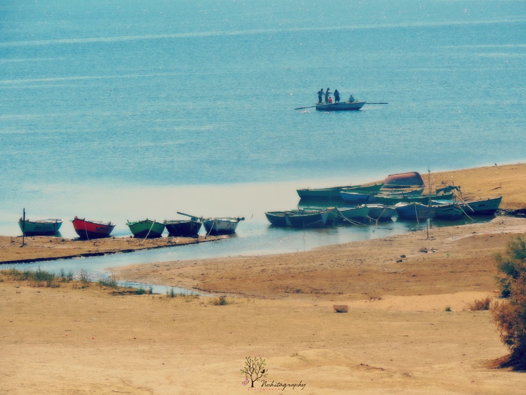 Fayoum: A Wild Weekend Getaway