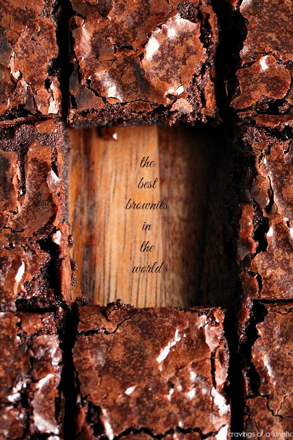 The-Best-Brownies-in-the-World-5