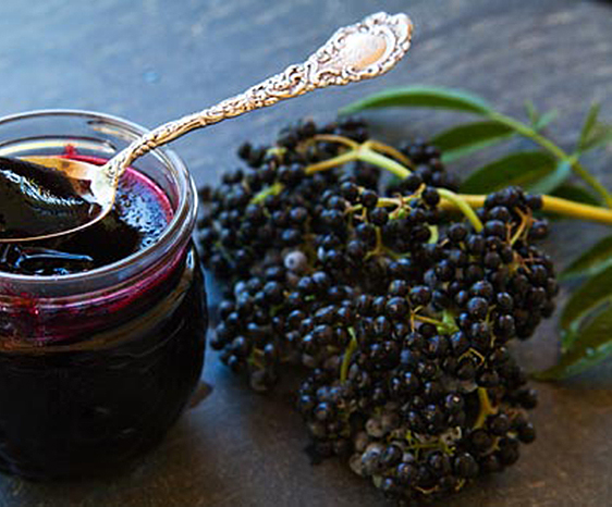 elderberry-jelly1