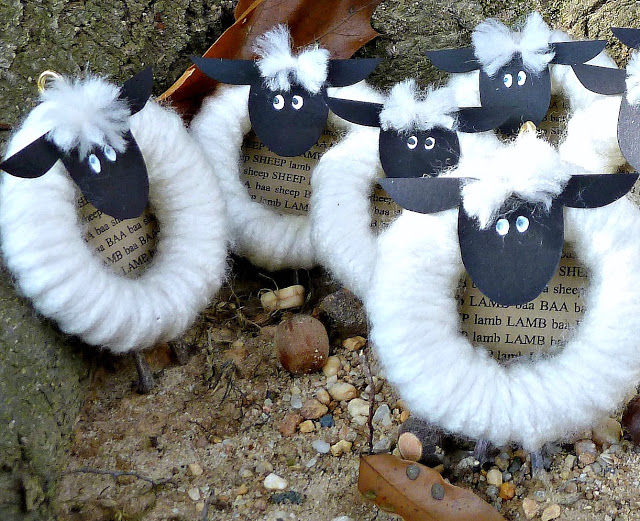 sheep 029b