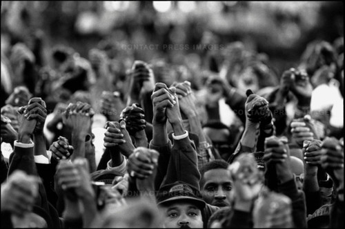 tumblr_lx7e8jlV9q1qdg5vho1_500