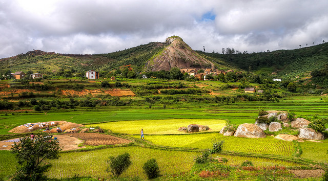 ((Mariusz Kluzniak/flickr))