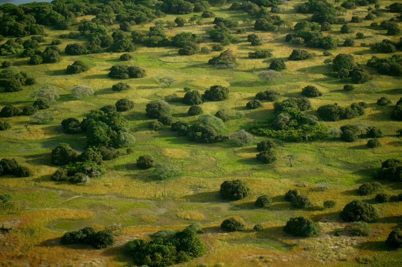 Guinea_Bissau_Landscape_15_by_plastikmodels