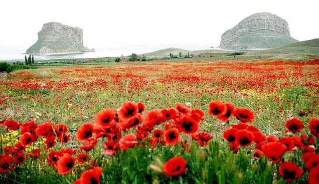 beautiful-pictures-of-iran-50-pics_23