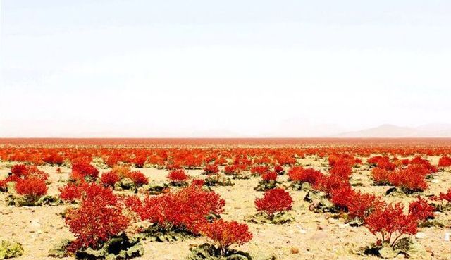 beautiful-pictures-of-iran-50-pics_47