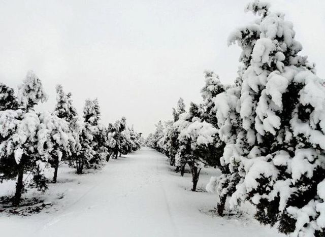 beautiful-pictures-of-iran-50-pics_6
