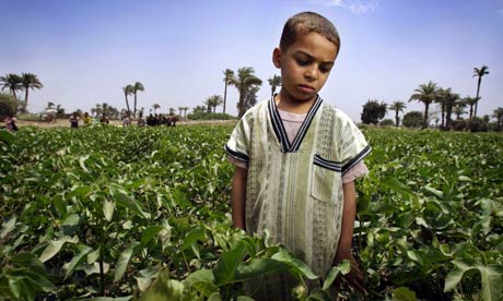 Why Do We Still Have Child Labor In Egypt?