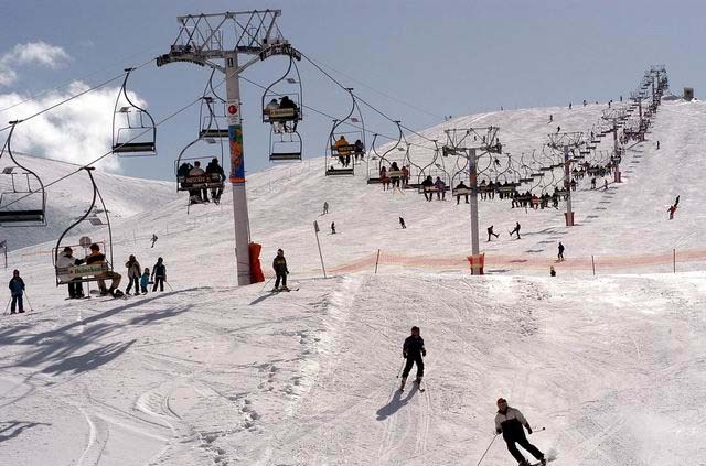 faraya1
