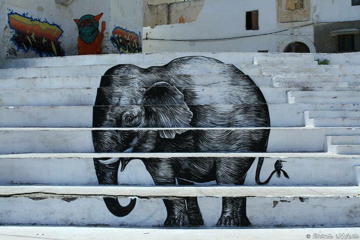 Elephant Street Art, Morocco