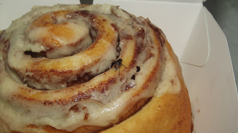 10407239_261115137413748_3892678680340240534_n