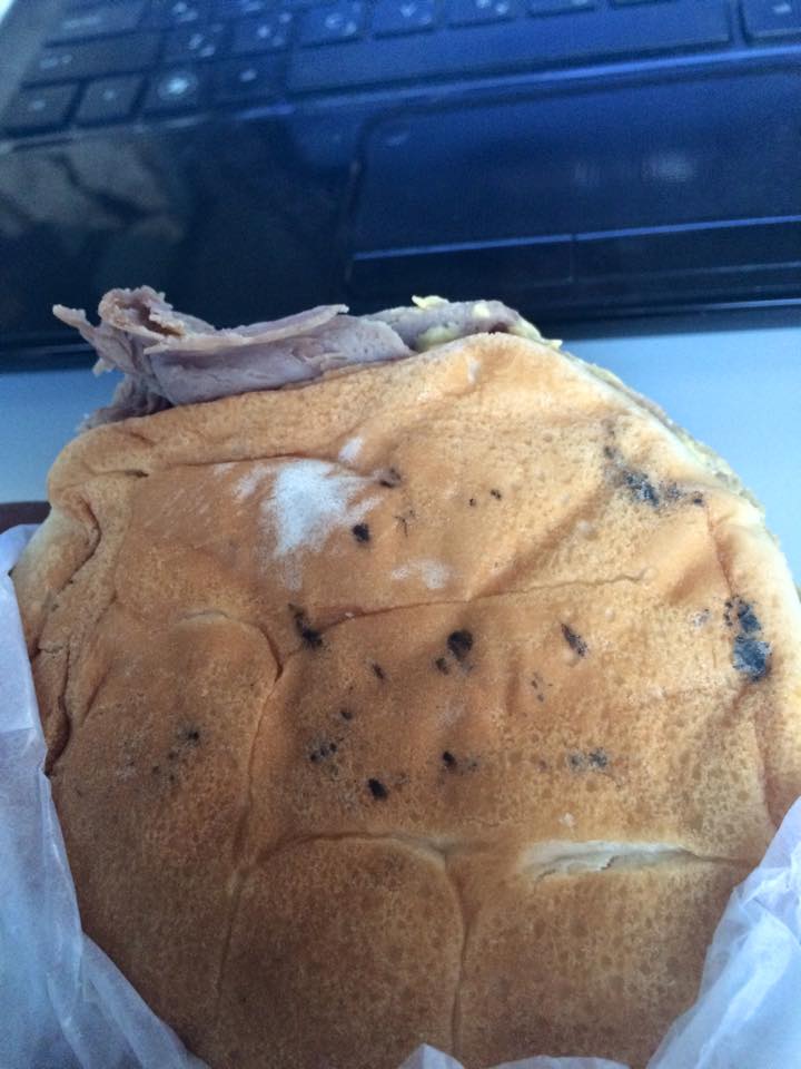 10419028_10152528907606701_1364102963947361365_n