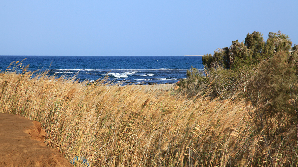 Copyright Manu Schwingel and Wadi Gimal National Park