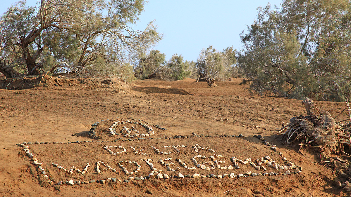 Copyright Manu Schwingel and Wadi Gimal National Park