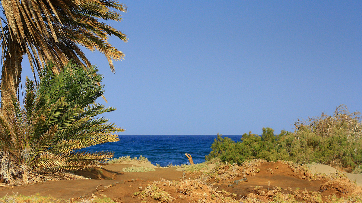 Copyright Manu Schwingel and Wadi Gimal National Park