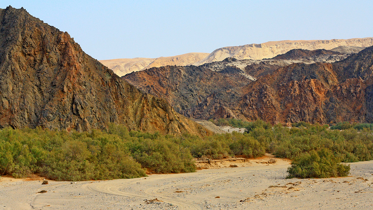 Copyright Manu Schwingel and Wadi Gimal National Park
