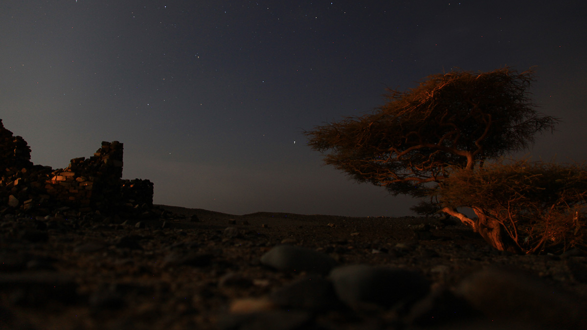 Copyright Manu Schwingel and Wadi Gimal National Park