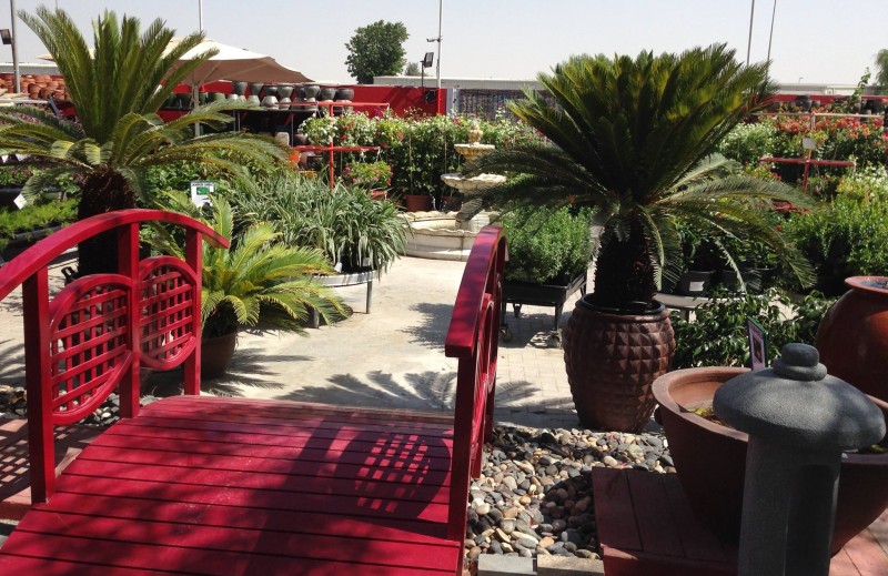 10714483_928475870500065_9170174798254727773_o (1)