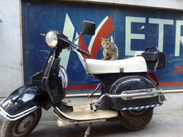 (John Kannenberg/flickr)