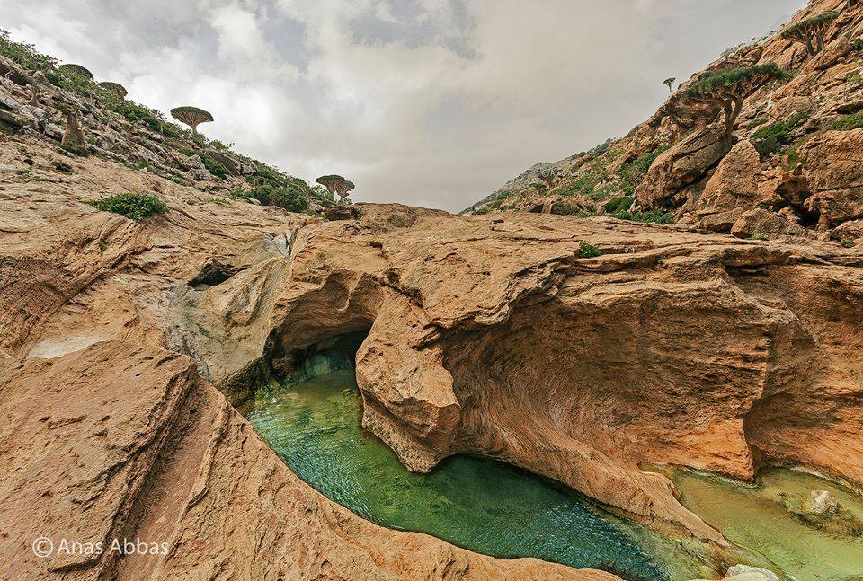 Socotra Island (Anaas Abas/Via)