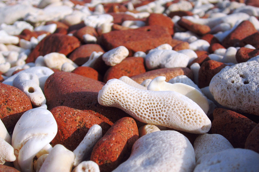 Di Hamri Coral Beach, Socotra Island (Gerry & Bonni/flickr)