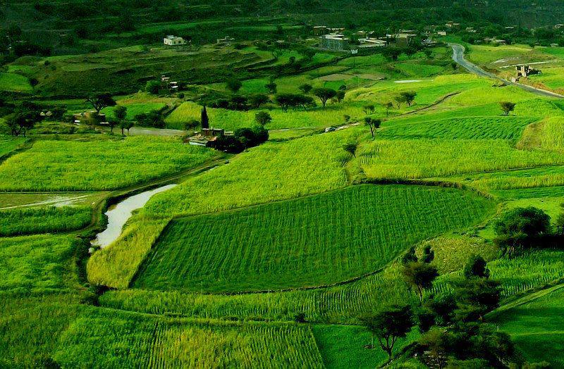 Makaleh (Hamza AlMahaleh/Via)