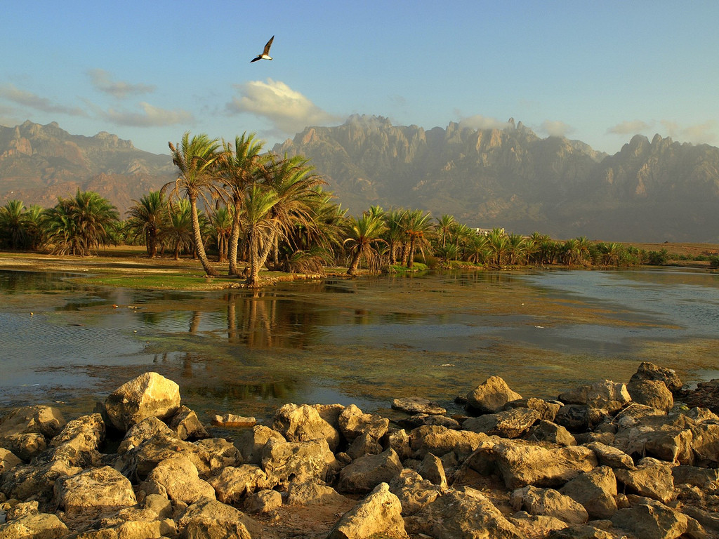 Socotra Island (Martin Sojka/flickr)