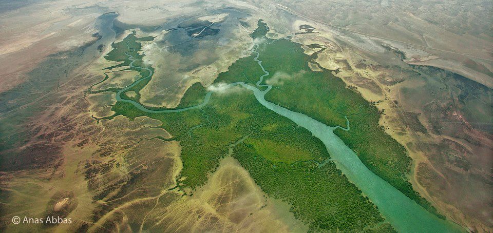 Rasisa Hudidah (Anas Abbas/Via)