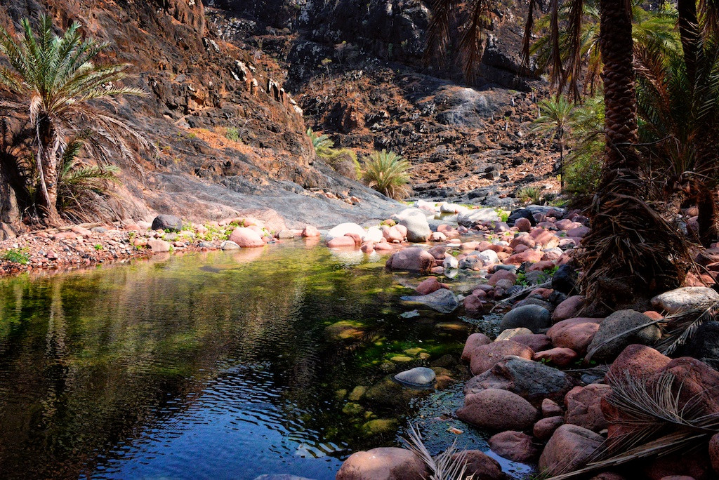 Wadi on Socotra Island (Rod Waddington/flickr)