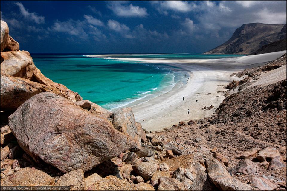 Socotra Island (Michail Vorobyev/Via)