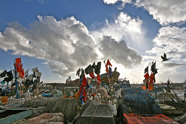 (Fabio Gismondi/flags)