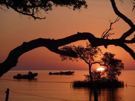Wadi Lahmi Mangroves