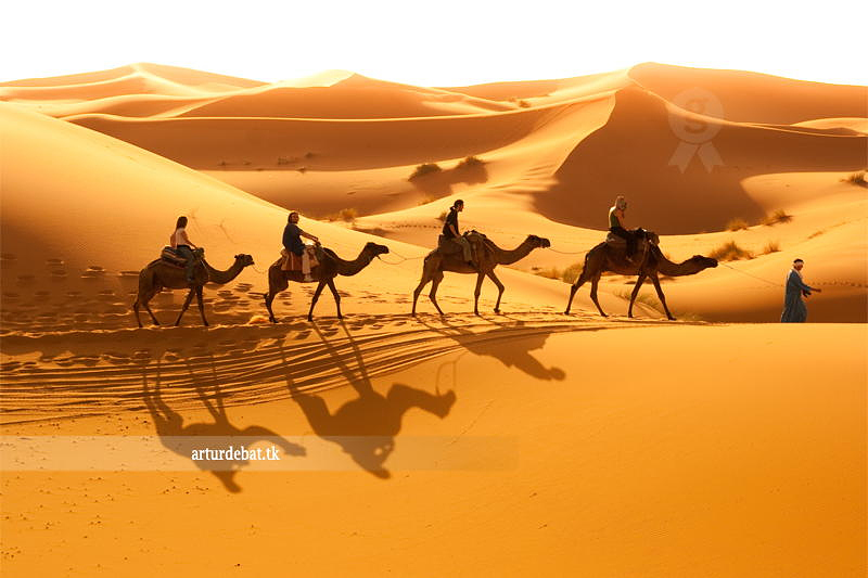 (Erg Chebbi/flickr)