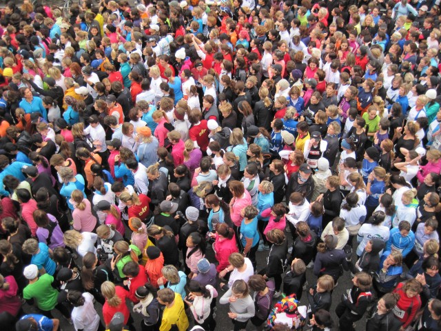 crowd-control-seastar-mamigo