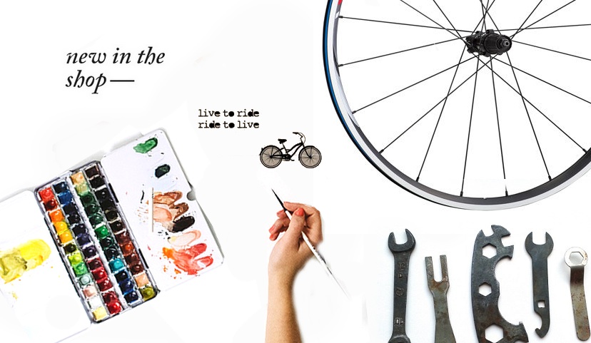 pic 13- design-chari