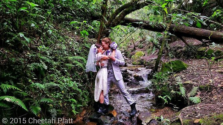 A jungle in Colombia (Cheetah Platt)