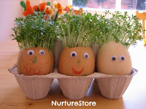 eggheads-cress-hair-eggs