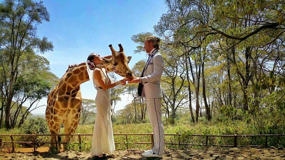 Giraffe Centre, Nairobi, Kenya (Cheetah Platt)