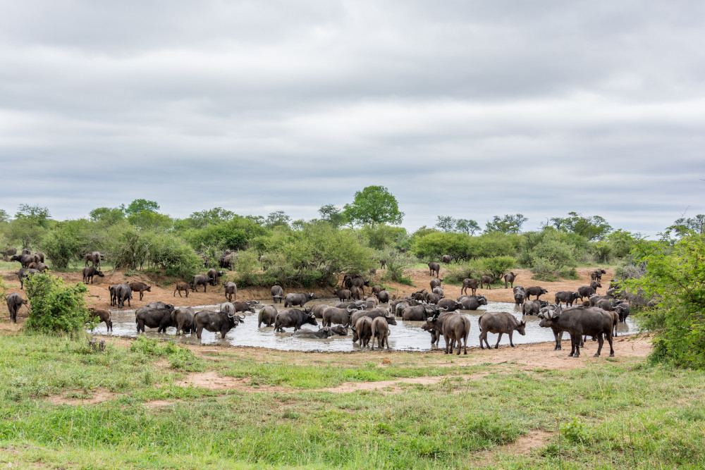 (Martijn Barendse/flickr)