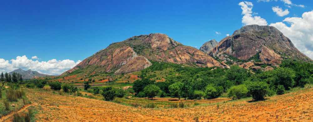 (Mariusz Kluzniak/flickr)