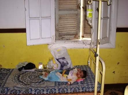 11427168_1459837204314556_1926693466624166077_n