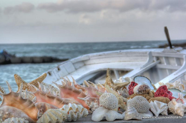 (Huzaifa Das/flickr)