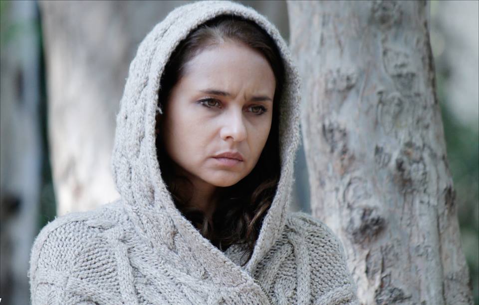 11218806_445980135579655_6219843322416830445_n