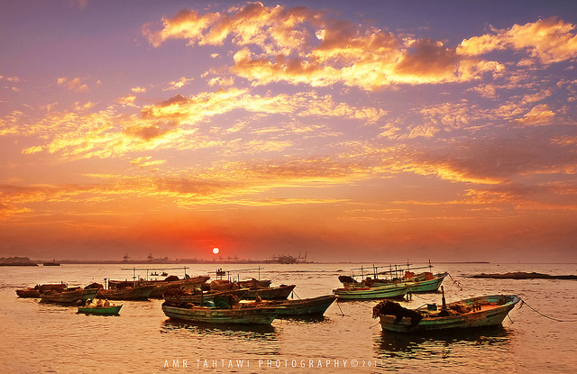 (Amr Tahtawy/flickr)