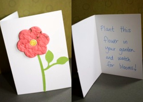 Plantable-Greeting-Card1