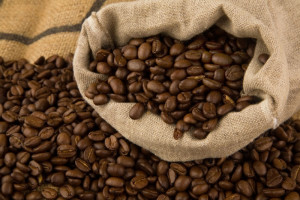 arabic coffee beans